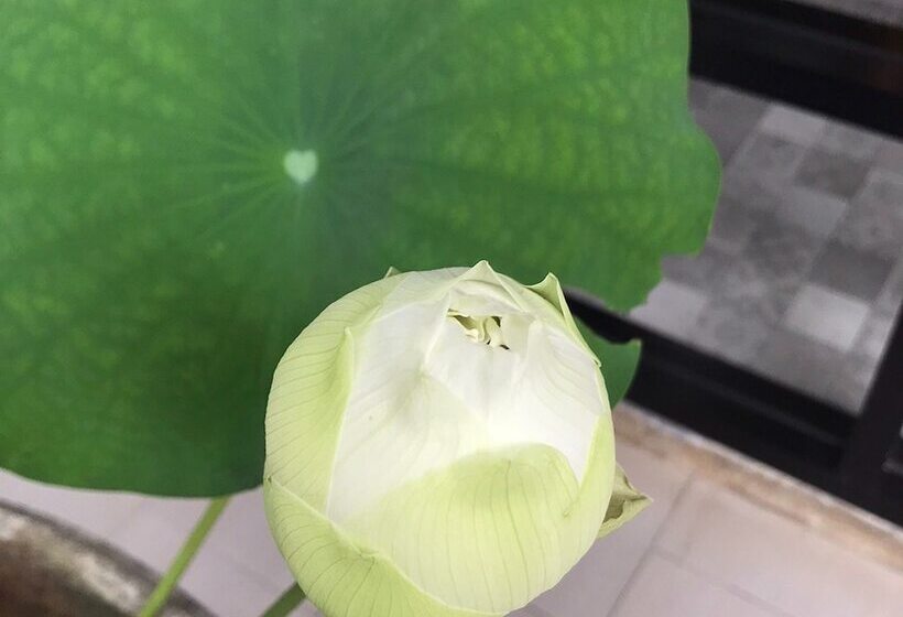 Пансион The Wishes Hotel At Chiangmai