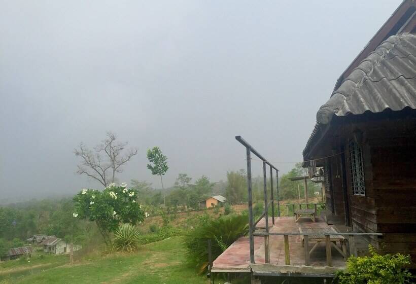 펜션 Tony Guesthouse