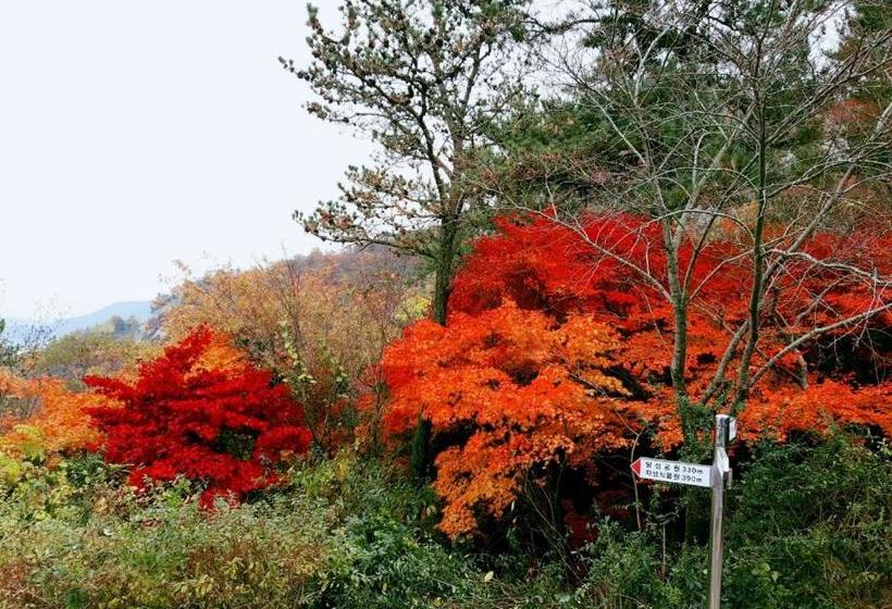 Pensión Yujeong Hanok Guesthouse