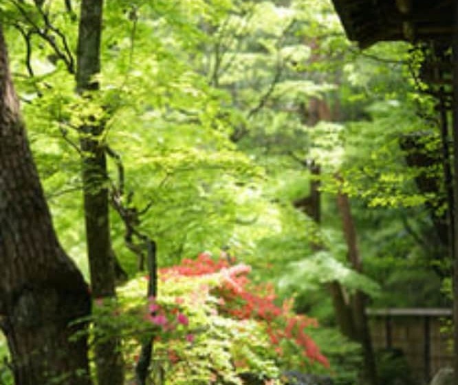 旅館 Sekizenkan Kashotei Sanso