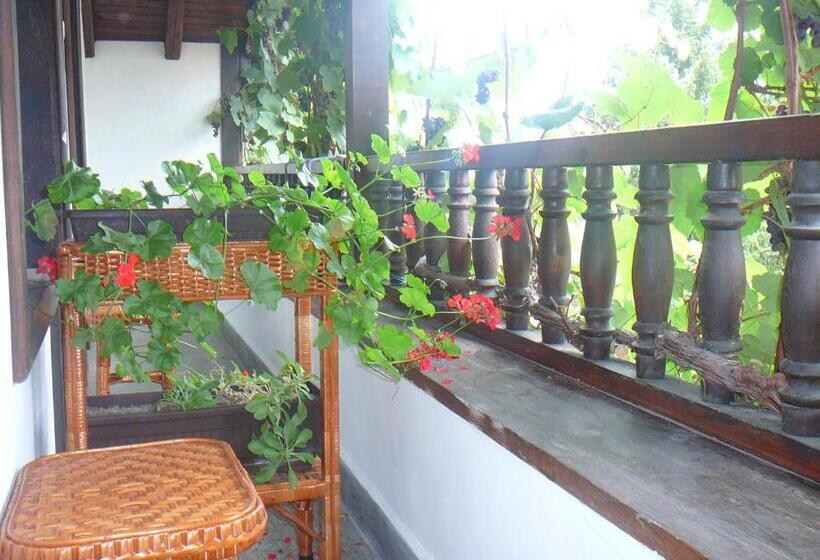 호텔 къща за гости типик