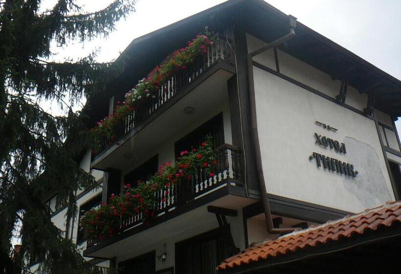 호텔 къща за гости типик