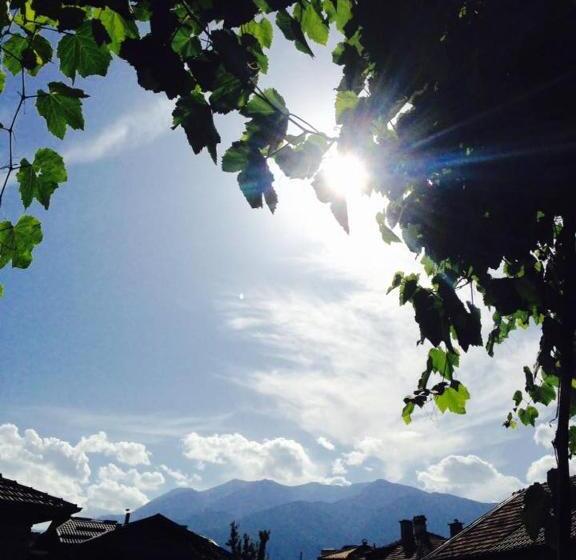 호텔 къща за гости типик