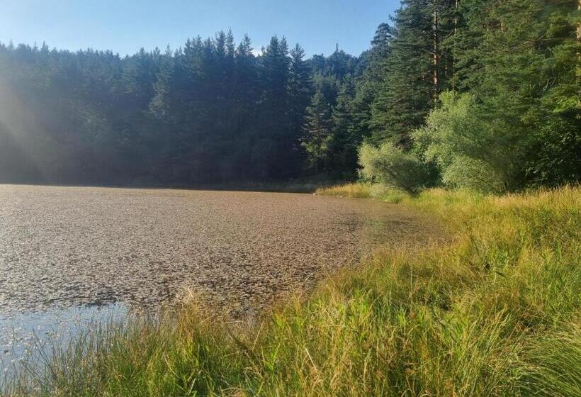 هتل Restaurant 6ato Rila