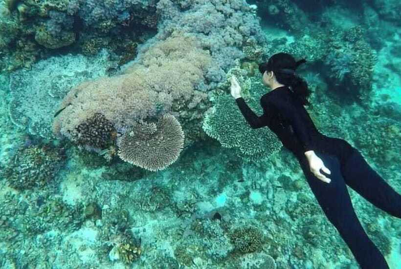 הוסטל Rustique Rue