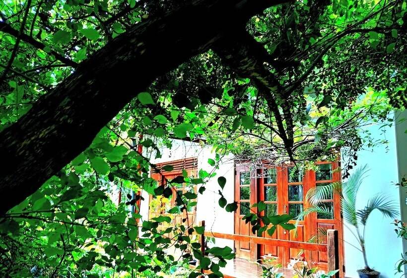 צימר Solitary Resort