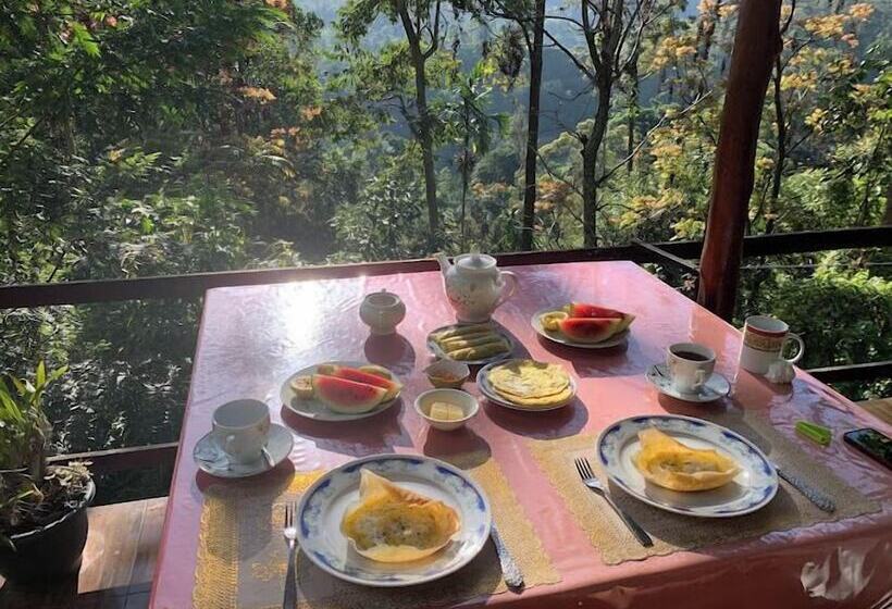 צימר Solitary Resort