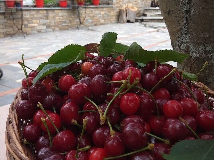 酒店 Archontiko Kantartzi