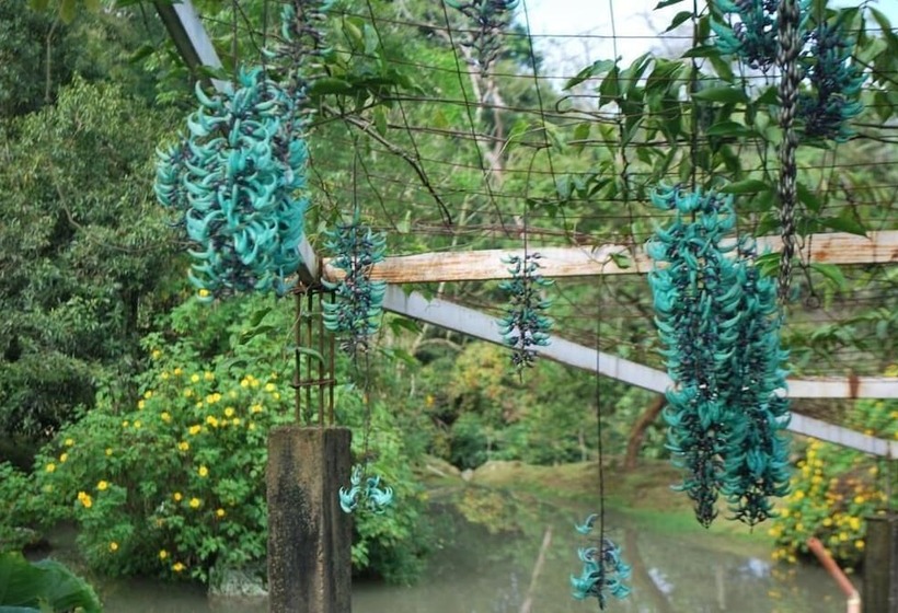 ホテル Finca Jardín Del Agua