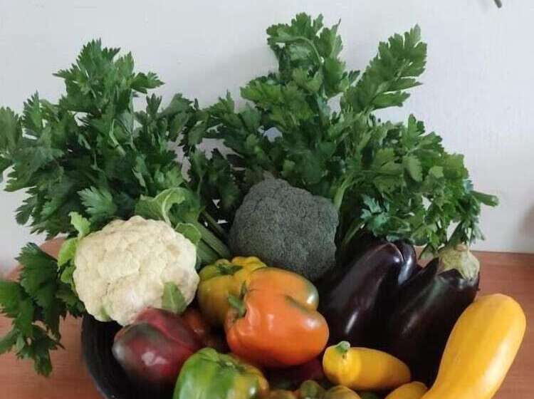 בית מלון כפרי Finca Jardín Del Agua