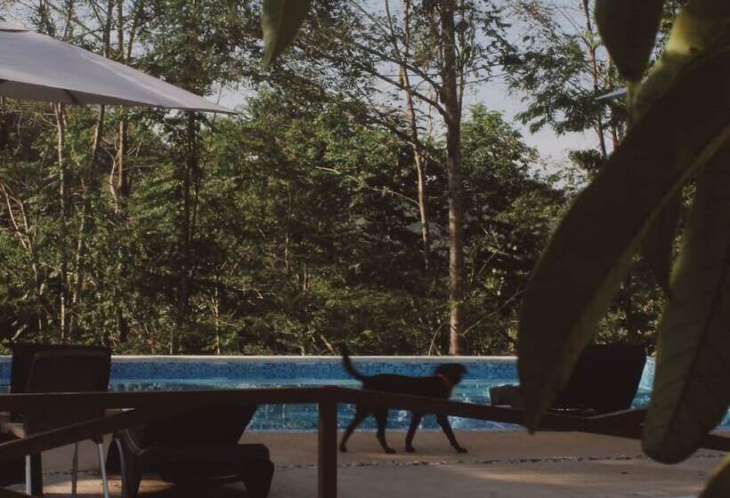 Madeira Hotel Boutique