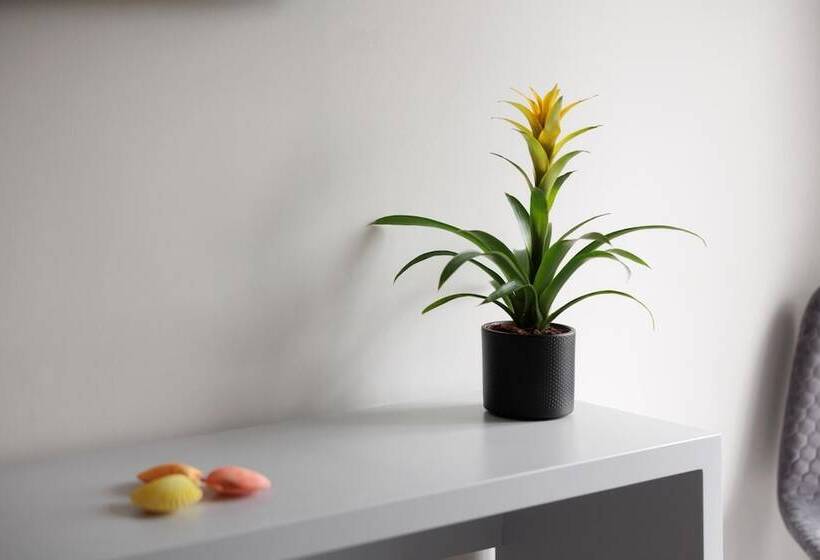 Ilios Properties Next To Gouvia Beach