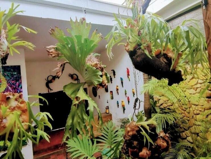 Parrot House San Antonio