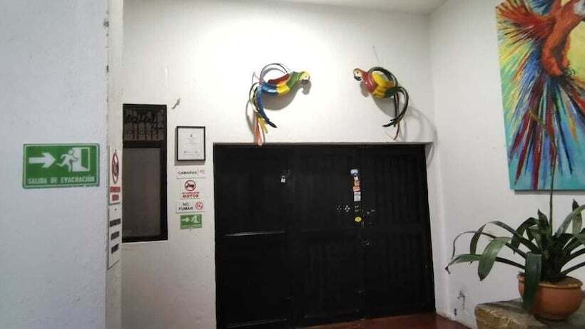 Parrot House San Antonio