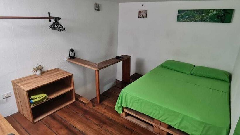 Parrot House San Antonio