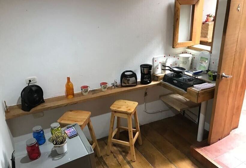 Parrot House San Antonio