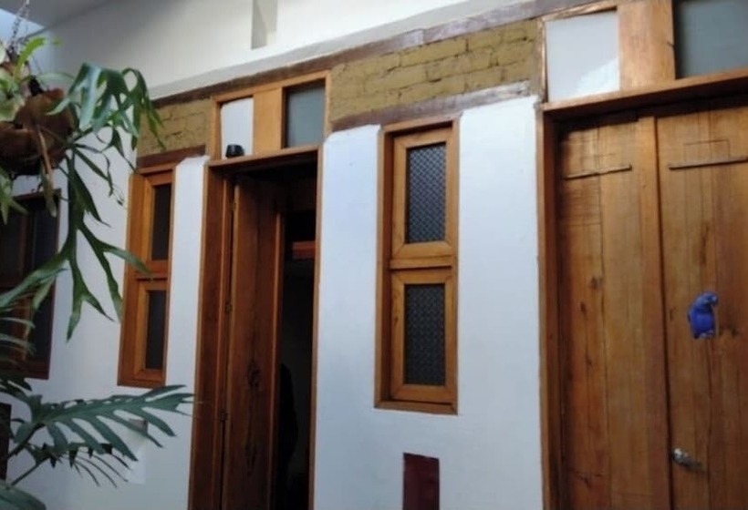 Parrot House San Antonio