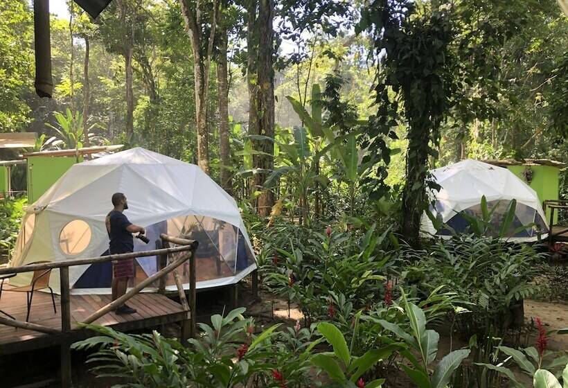 مبيت وإفطار Faith Glamping Dome Costa Rica