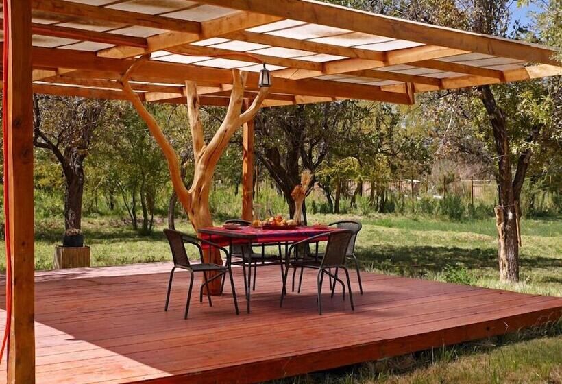 酒店 Terra Luna Atacama