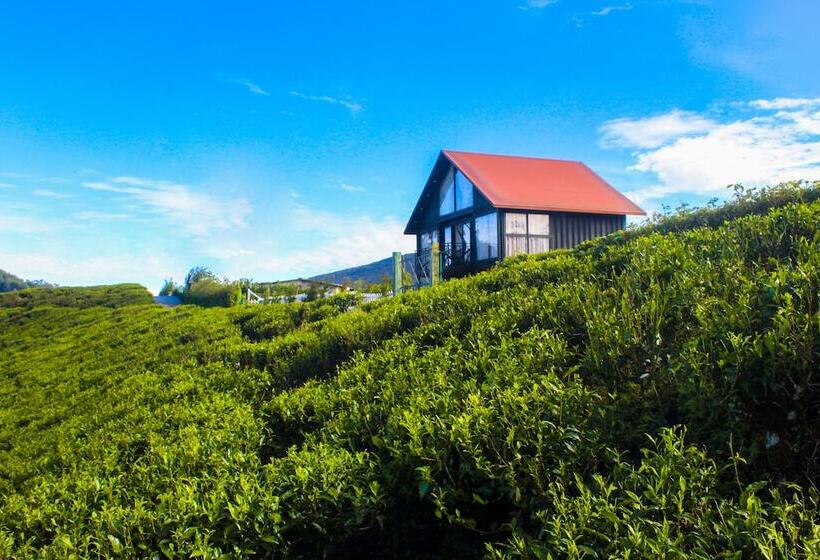 호텔 The Blackberry Cottage