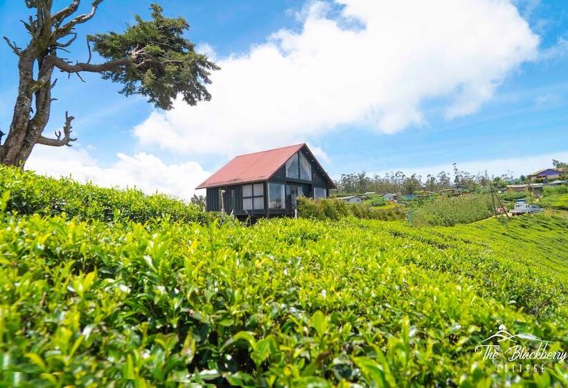 호텔 The Blackberry Cottage