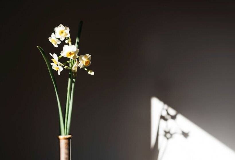 فندق Nipponia Kosa Canal Town