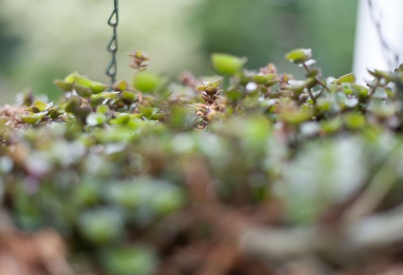 5 Camp Street Guesthouse & Self Catering