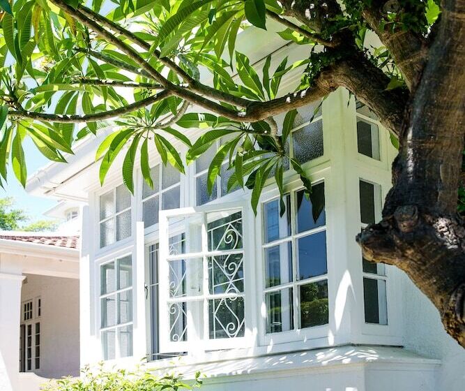 5 Camp Street Guesthouse & Self Catering