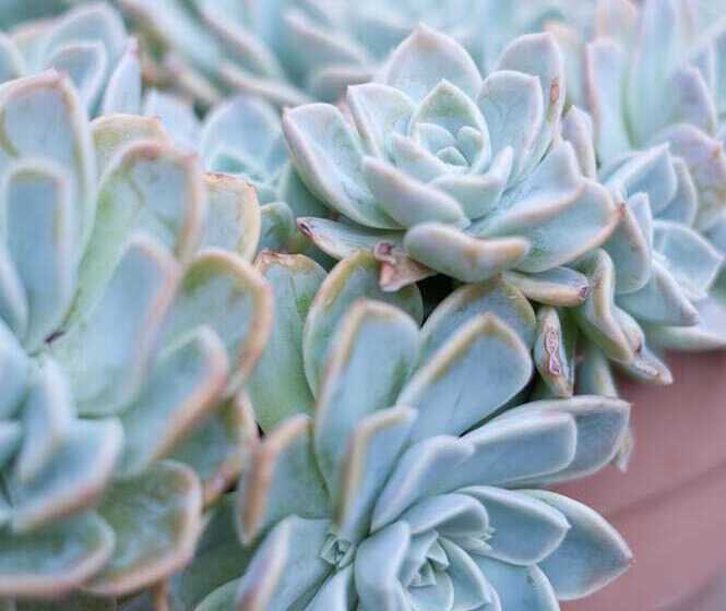 5 Camp Street Guesthouse & Self Catering