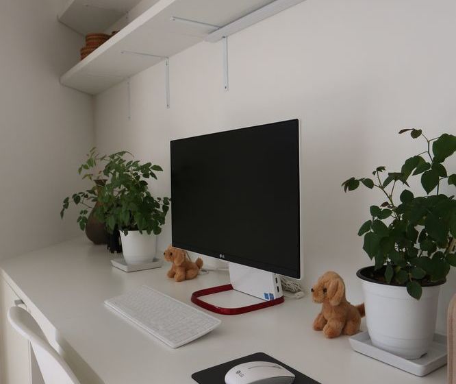 Runway Guesthouse  Hostel