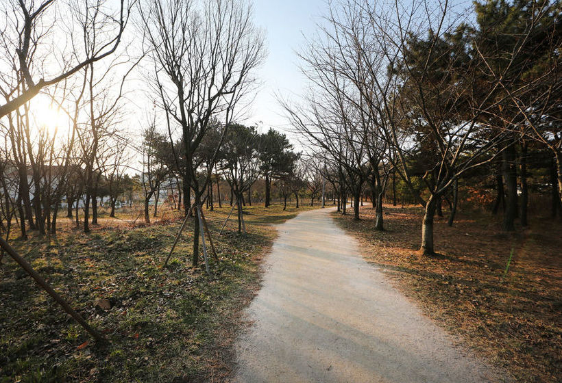 Runway Guesthouse  Hostel