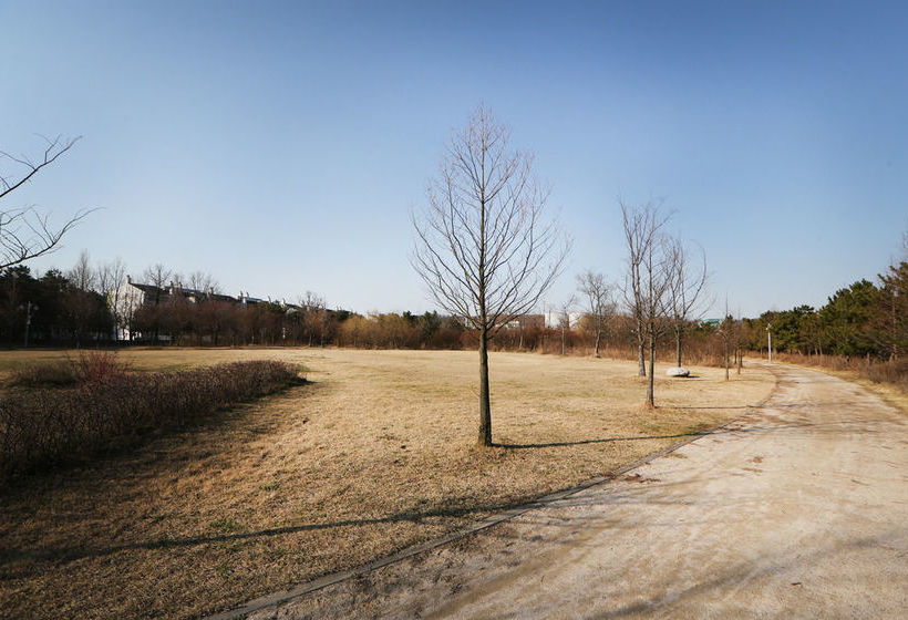 Runway Guesthouse  Hostel