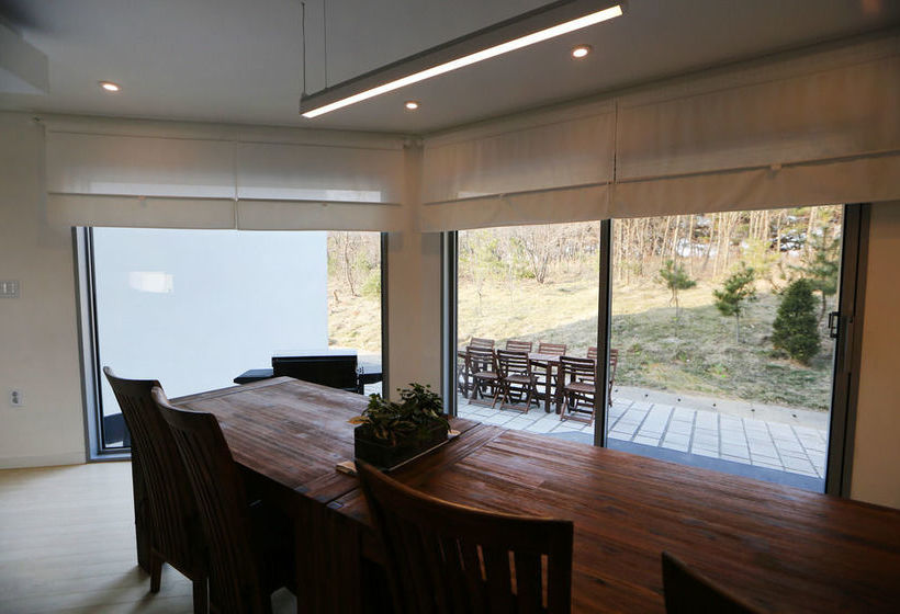 Runway Guesthouse  Hostel