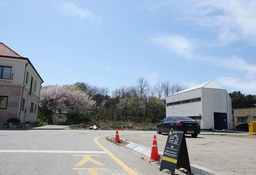 Runway Guesthouse  Hostel