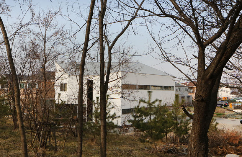 Runway Guesthouse  Hostel