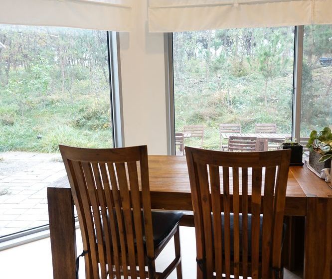 Runway Guesthouse  Hostel