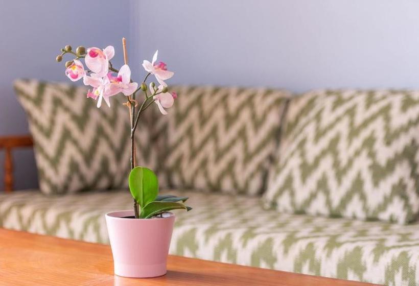 Apartamento Portosun Estrella