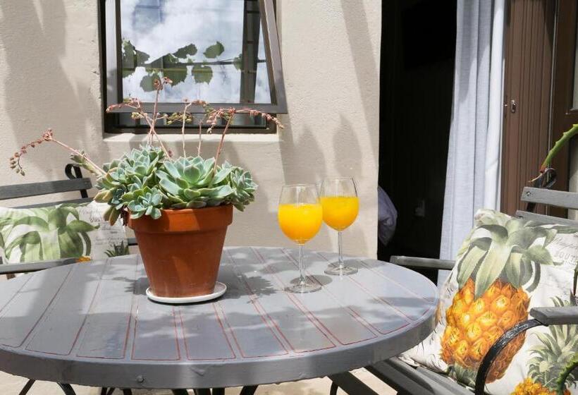 مبيت وإفطار 5 Konings Guesthouse