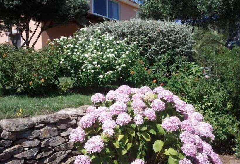 تختخواب و صبحانه Li Muntigeddi