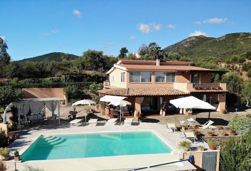 تختخواب و صبحانه Li Muntigeddi