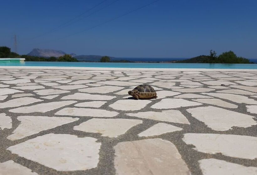 تختخواب و صبحانه Li Muntigeddi