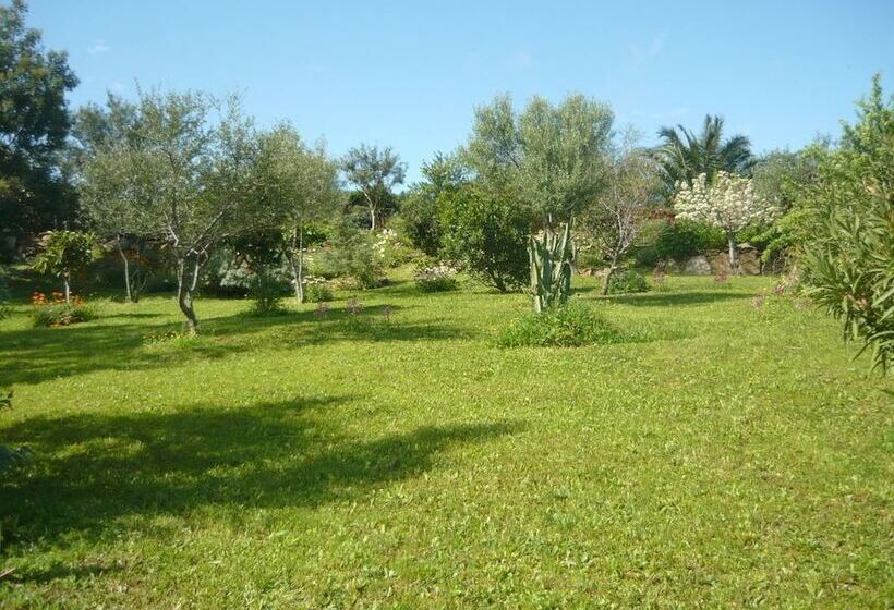 تختخواب و صبحانه Li Muntigeddi