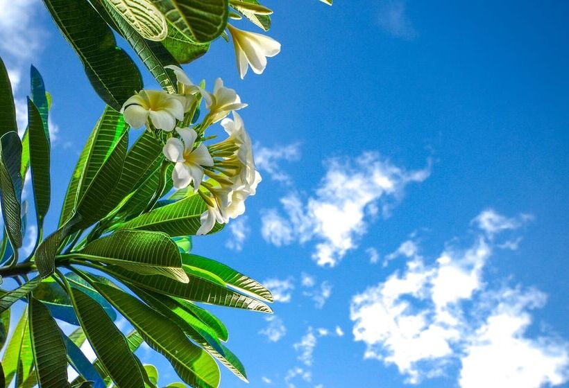 민박 Nid's Bungalows