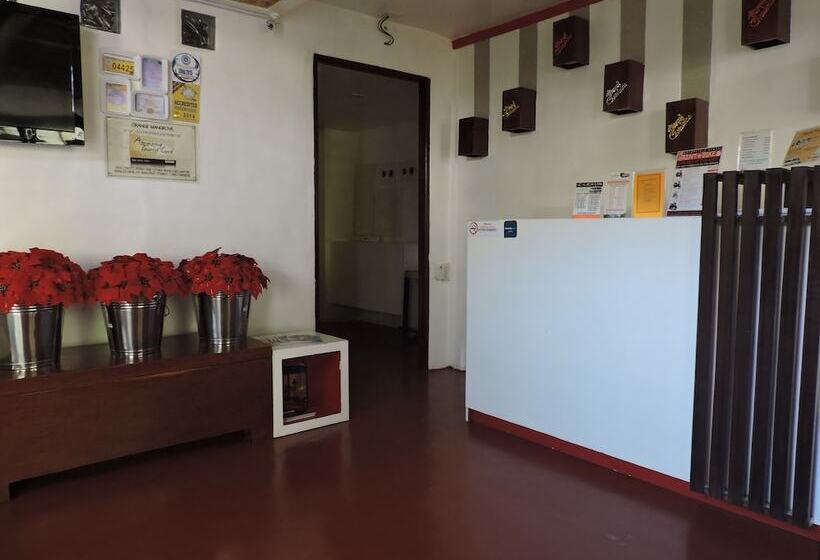 تختخواب و صبحانه Orange Mangrove Pension House