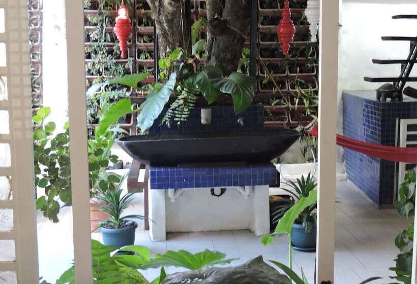 تختخواب و صبحانه Orange Mangrove Pension House