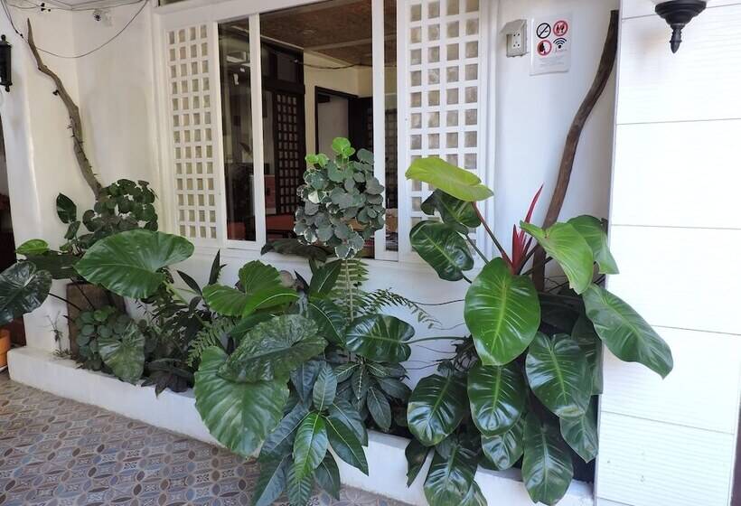 تختخواب و صبحانه Orange Mangrove Pension House