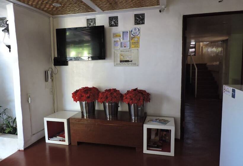 تختخواب و صبحانه Orange Mangrove Pension House