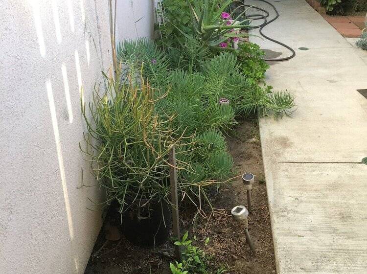 민박 Sunshine La Bnb