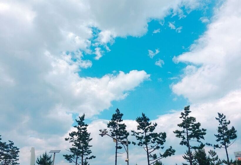 Gn Guesthouse Coffeemarina Hostel