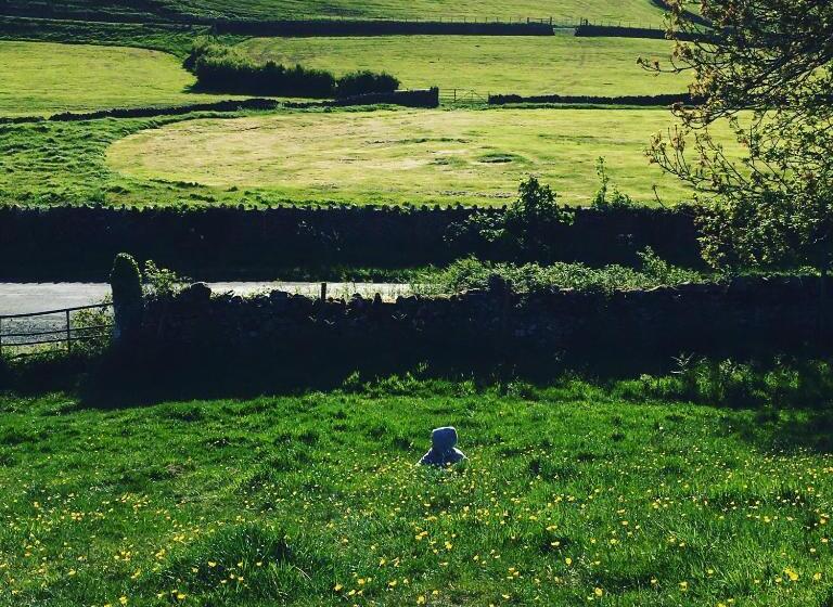 فندق فئة نجمة واحدة Kings Arms